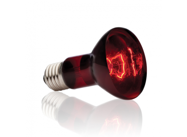 Инфракрасная лампа Heat Glo, R 20, 50 Вт