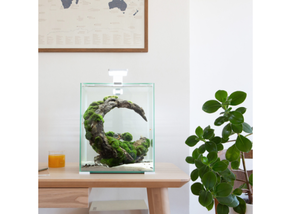 Аквариум AQUAEL SHRIMP SET DAY&NIGHT 10, 10л, белый, 20х20х25 с оборудованием