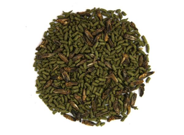 Корм Террамикс для водных черепах АКВА МЕНЮ, со сверчком 250мл/60г Корм Террамикс для водных черепах АКВА МЕНЮ, со сверчком 250мл/60г