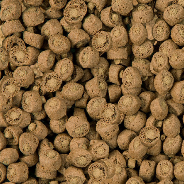 sera_reptil_Professional_Carnivor_Nature_Detail sera_reptil_Professional_Carnivor_Nature_Detail