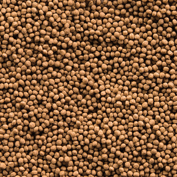 sera_Koi_Royal_Nature_Mini_Detail