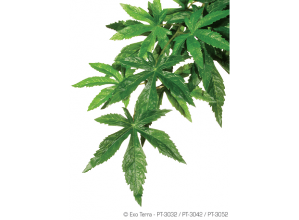 Растение для террариума Exo Terra EX Jungle Plants Абутилон малое 45х20см