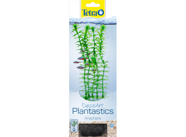 Растение аквариумное Anacharis (M) 23 см