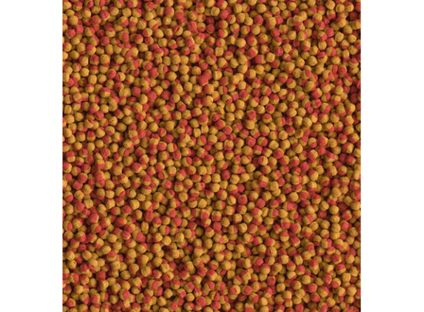 Корм для рыб TetraCichlid Colour 10л гранулы