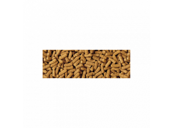 Корм на осенне-зимний период для прудовых рыб Tetra Pond Koi  Wheatgerm Sticks, палочки, 10л