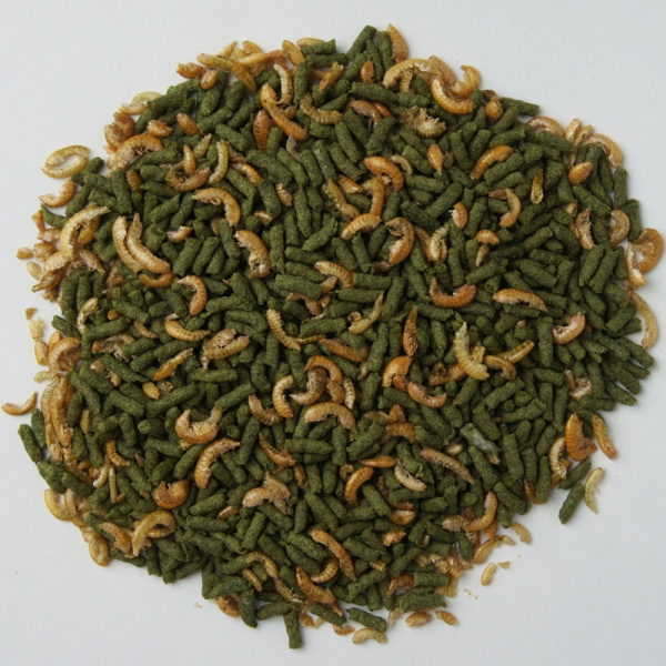 2-56cb2680b79627fde9679dc00624dc08 2-56cb2680b79627fde9679dc00624dc08