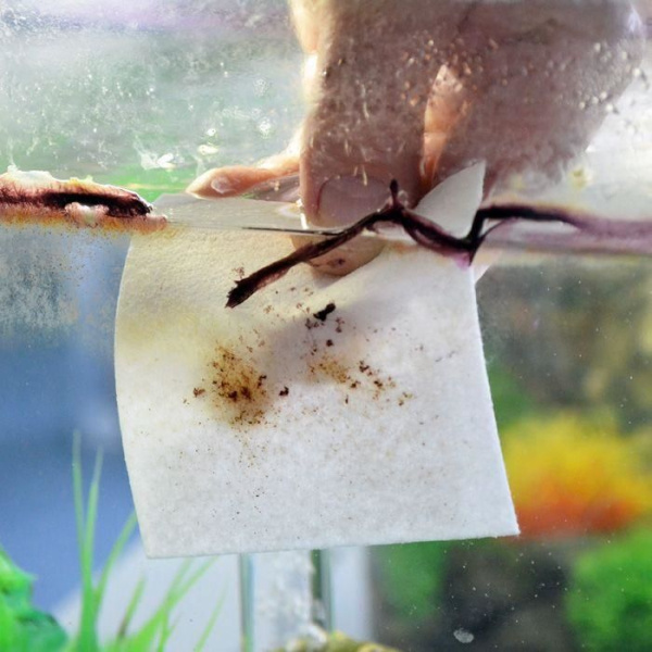 4b0e1fc4473424ce3a8ff42f515d9165_f98