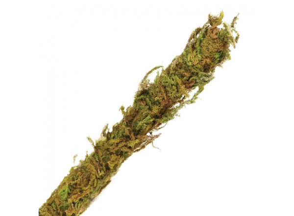 Растение Лиана Repti-Zoo для террариума со мхом, 2х200см (RV0220)