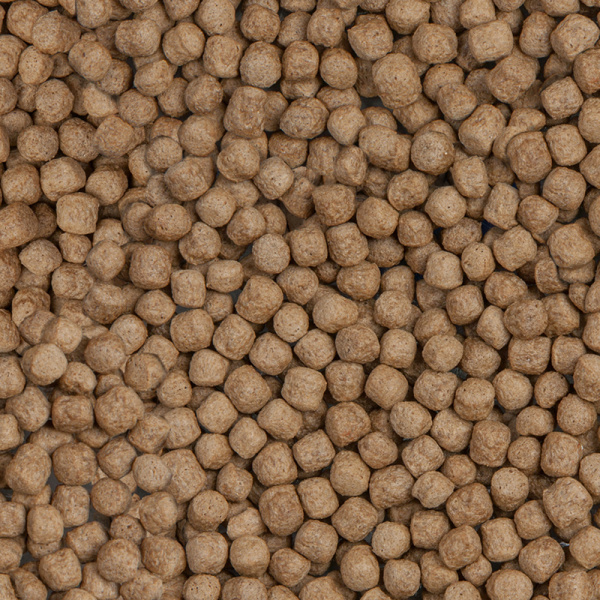 sera_Koi_Royal_Nature_Large_Detail