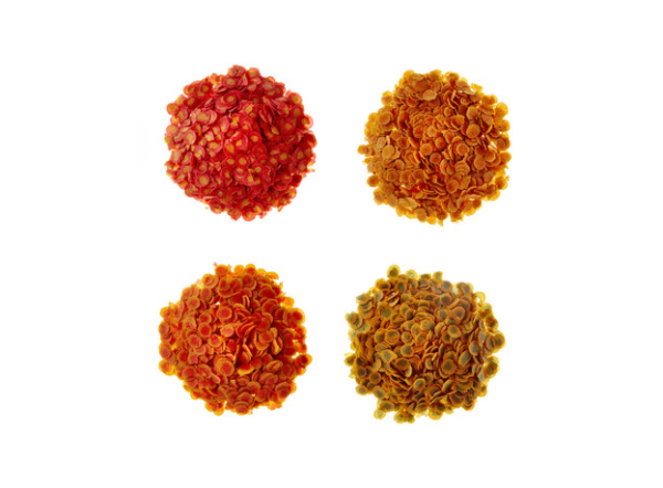 Корм для любых видов рыб Tetra Pro Menu, чипсы 4-х видов, 250мл