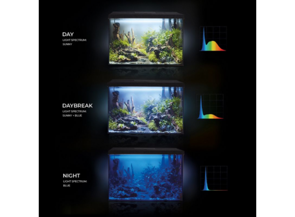 Аквариум прямоугольный Aquael LEDDY 60 XL DAY&NIGHT 2.0, 72л, 61х31х44см с оборудованием, черный
