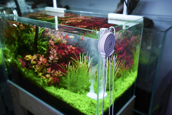 20191017140419271927