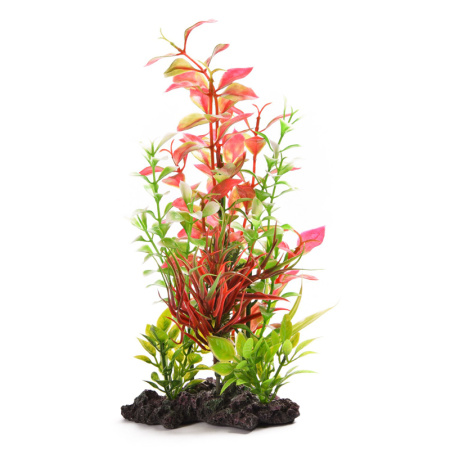 Растение КОМПОЗИЦИЯ №37 22см