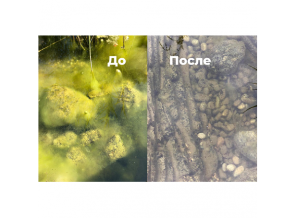 Средство против нитевидных водорослей Söll FadenalgenVernichter 0.5 кг на 16 м3