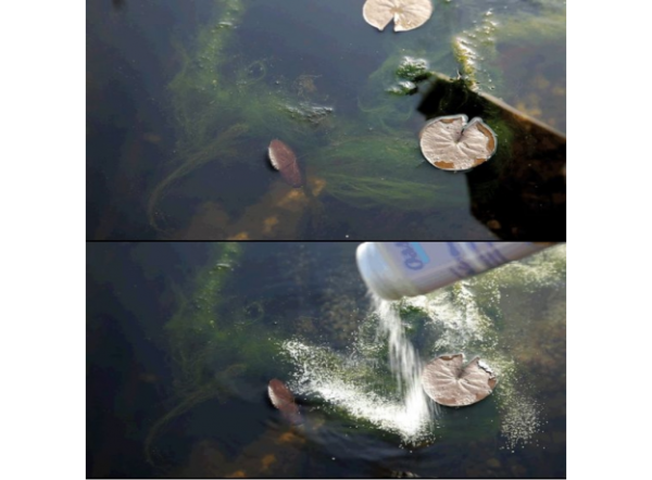 Средство Oase против нитевидных водорослей AlGo Direct, 5л