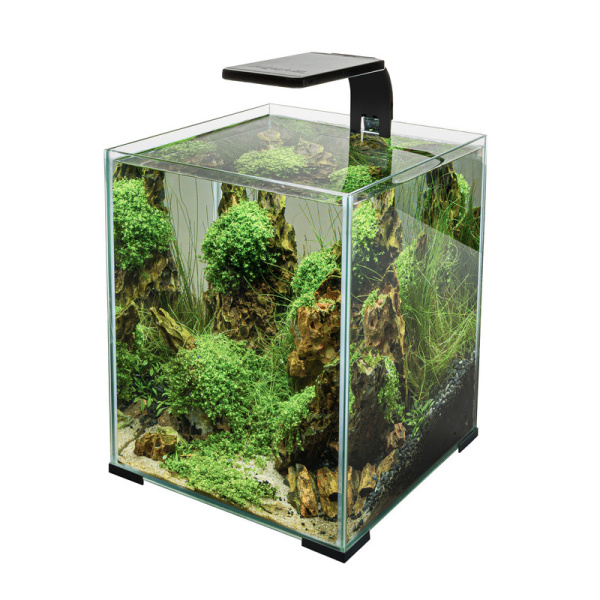 123404_front 4 123404_front 4