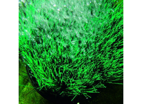 Аэратор + насадка Oase  OxyTex Set CWS 1000 (для пруда до 10  м3)